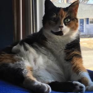 Meet your Posher, Misty-may